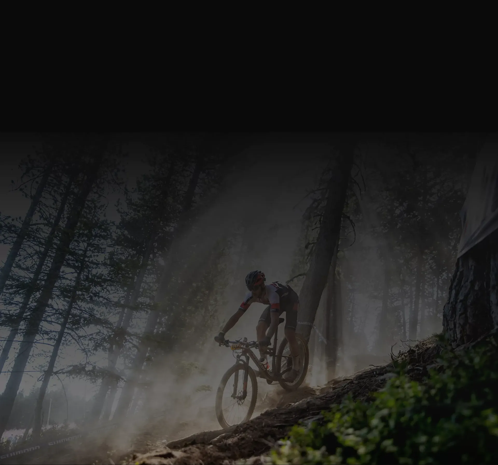 Pozad� �vodn� str�nky